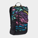 burton rucksack